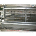 broiler rearing system